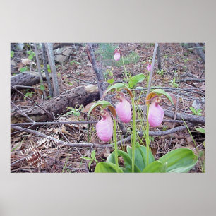 Vild Flowers Dam Tofflor Poster