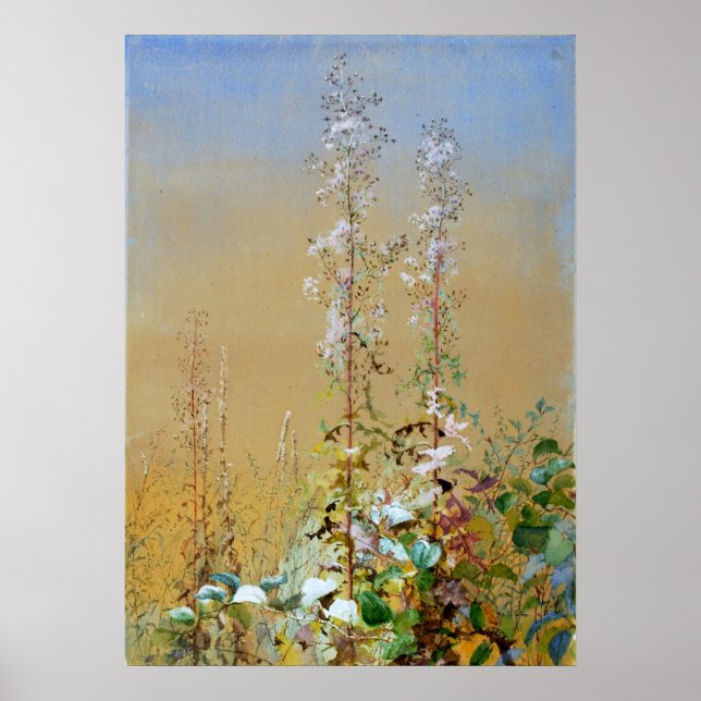 Vild Flowers Fidelia Bridges Watercolor Fine Art Poster (Framsidan)