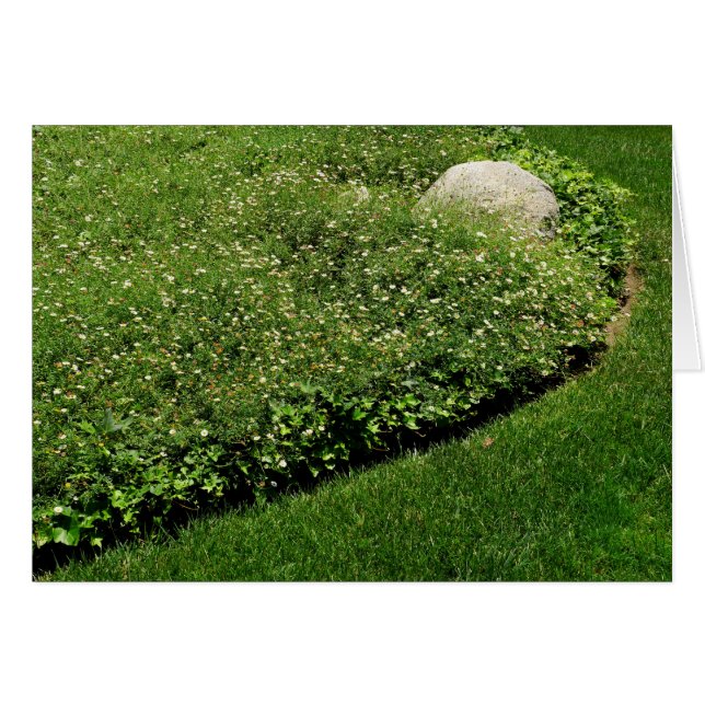 Vild Flowers Grönt Grass Hälsningskort (Framsidan Horizontal)