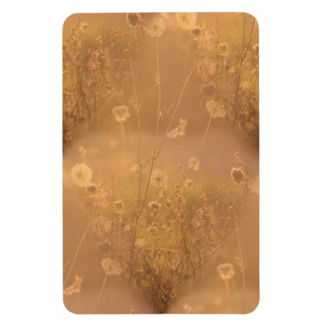 Vild Flowers med Orange glöd Magnet (Vertikal)