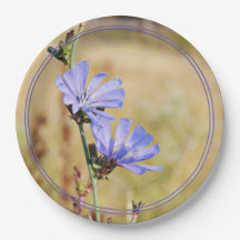 Vild Flowers på morgonen