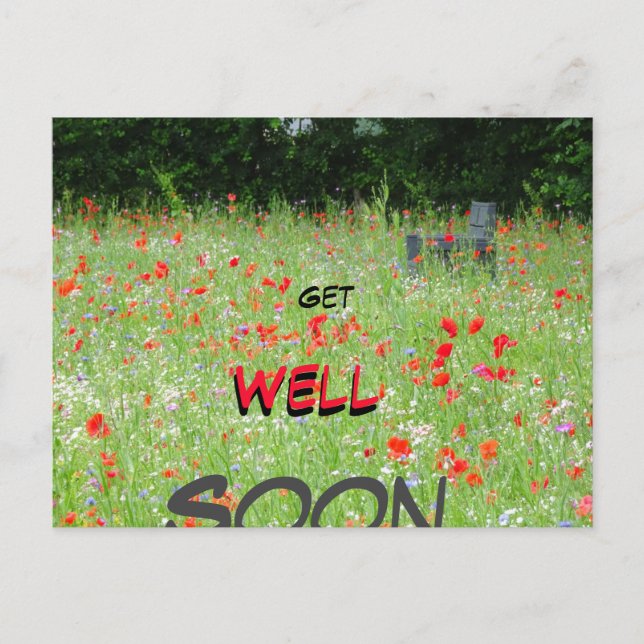Vild Flowers Poppies Bench Get well-on Postcard Vykort (Framsida)