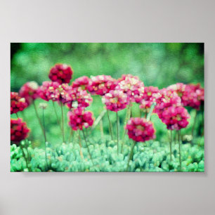 Vild Flowers Poster