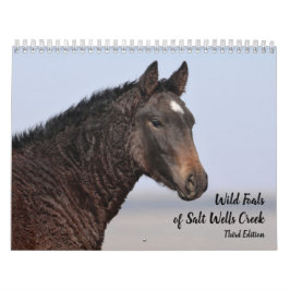 Vild Foals of Salt Wells Bäck Kalender