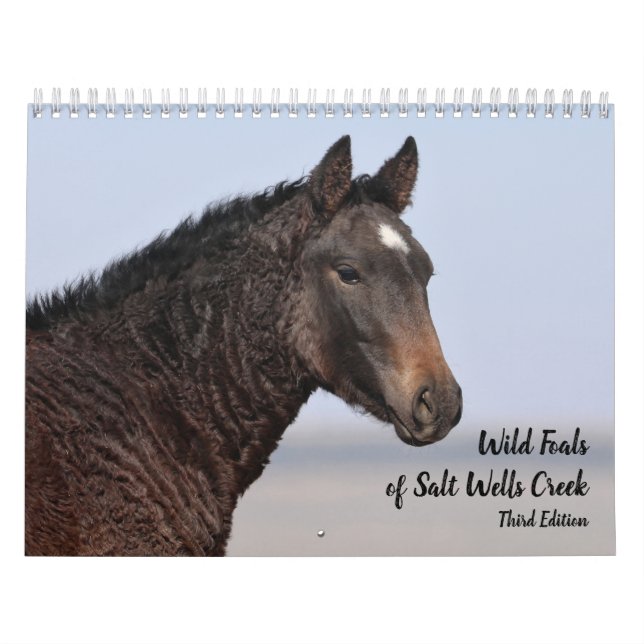 Vild Foals of Salt Wells Bäck Kalender (Omslag)