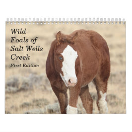 Vild Foals of Salt Wells Bäck Kalender