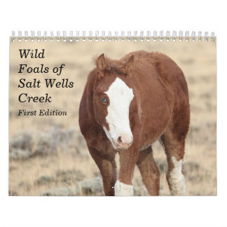 Vild Foals of Salt Wells Bäck Kalender