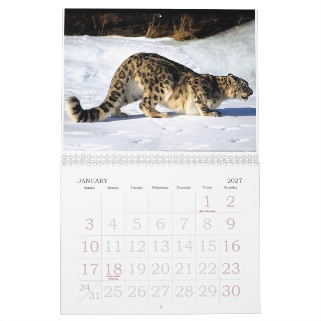 Vild för ett vild år kalender (Jan 2027)