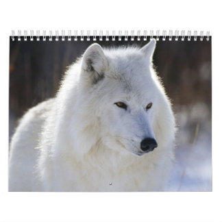 Vild för ett vild år kalender