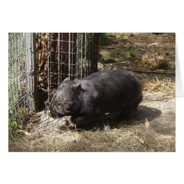 Vild för ombatt hälsningskort (Framsidan Horizontal)