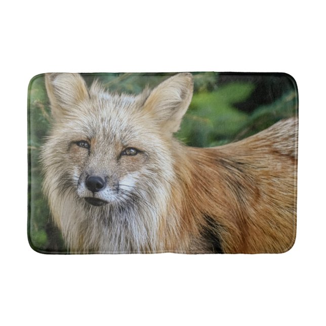 Vild Fox Badrumsmatta (Framsidan)