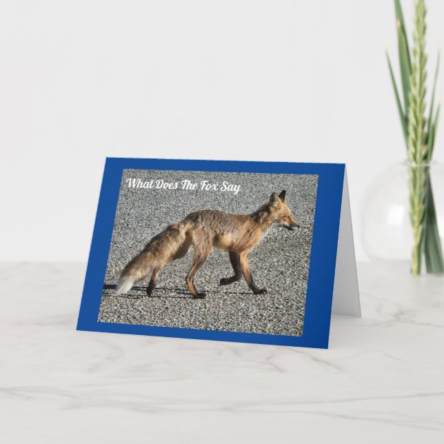 Vild Fox-födelsedagskort Kort (Framsida)