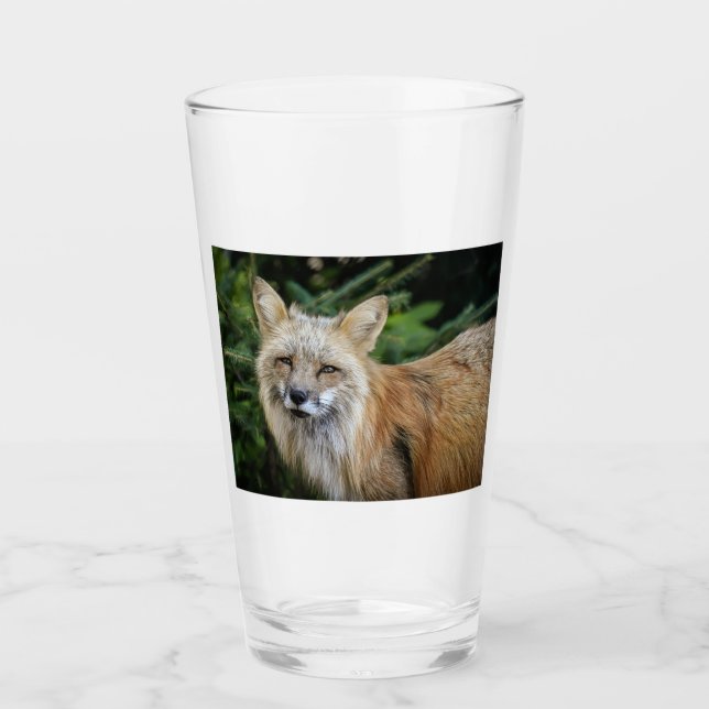 Vild Fox Glaskopp (Framsida)