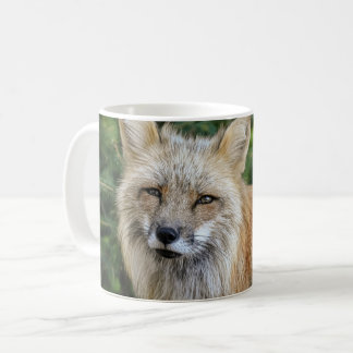 Vild Fox Kaffemugg
