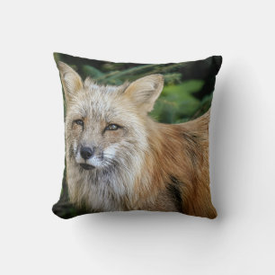 Vild Fox Kudde