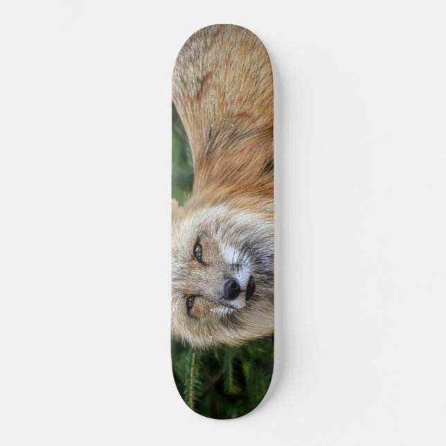 Vild Fox Mini Skateboard Bräda 18,5 Cm (Framsida)