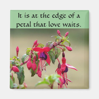 Vild Fuchsias Magnet