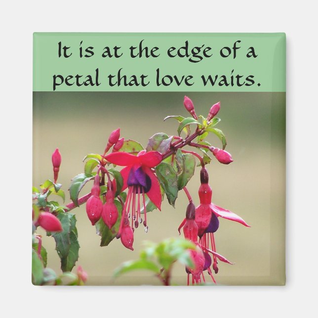 Vild Fuchsias Magnet (Framsidan)