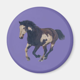 Vild Galloping Pinto American Paint Horse Magnet