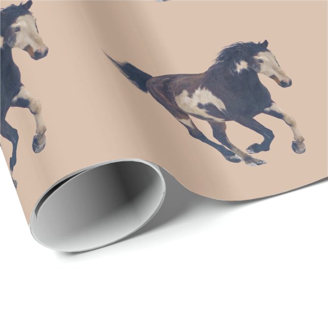 Vild Galloping Pinto American Paint Horse Presentpapper (Rullad Hörn)
