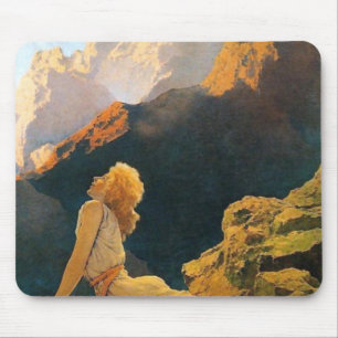 Vild gäss efter Maxfield Parrish Musmatta