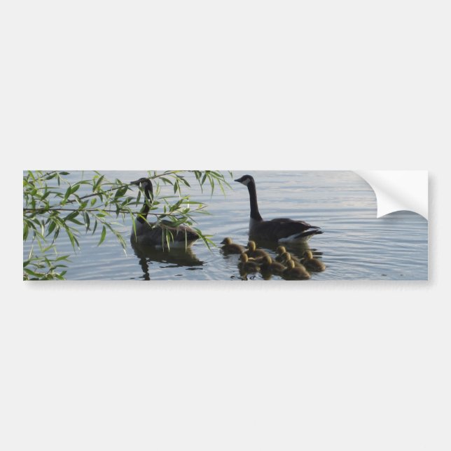 Vild Geese Bumper Sticker Bildekal (Framsidan)