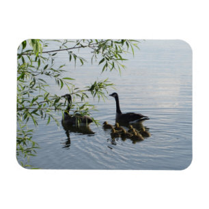 Vild Geese Flexible Magnet