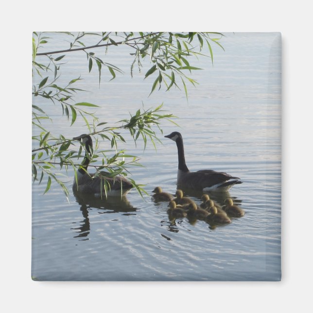 Vild Geese Magnet (Framsidan)