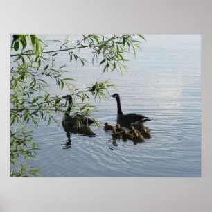 Vild Geese Poster