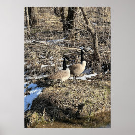 Vild Geese Poster