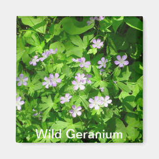 Vild Geranium Magnet