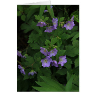 Vild Geraniums Hälsningskort