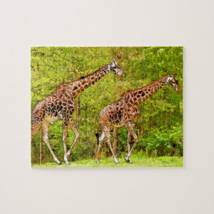 Vild Giraffes - African Wildlife Pussel