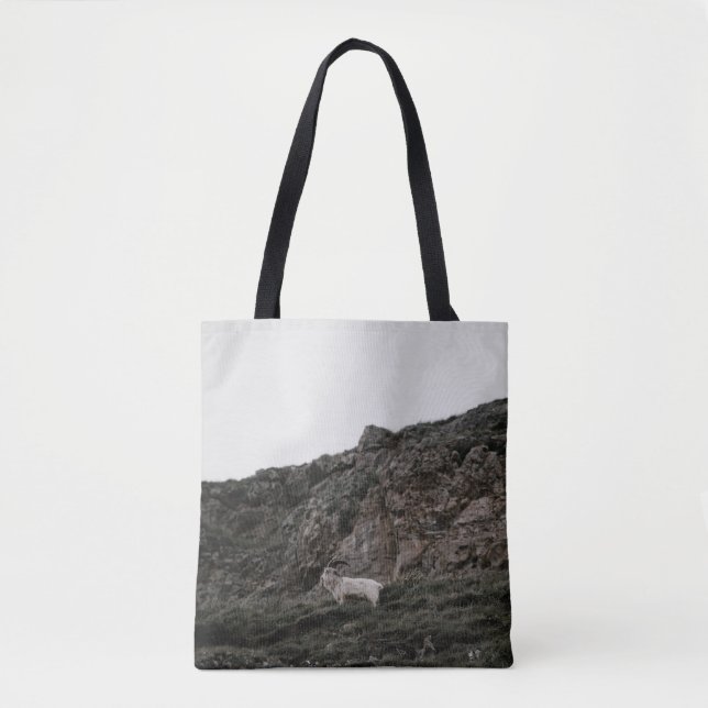 VILD GOAT TYGKASSE (Framsida)