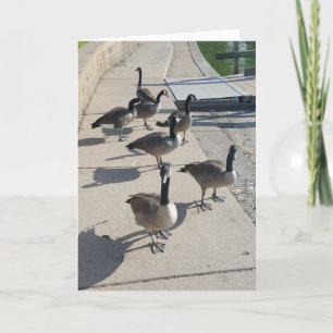 "Vild Goose Chase" - tackkort Kort