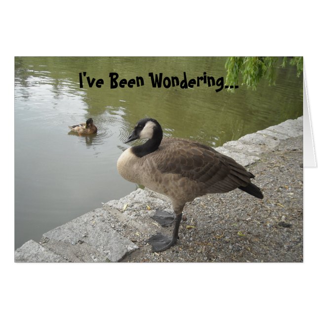 Vild Goose Hälsningskort (Framsidan Horizontal)