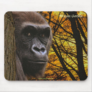 Vild Gorilla-utrotningshotade arter Primat Mousepa Musmatta