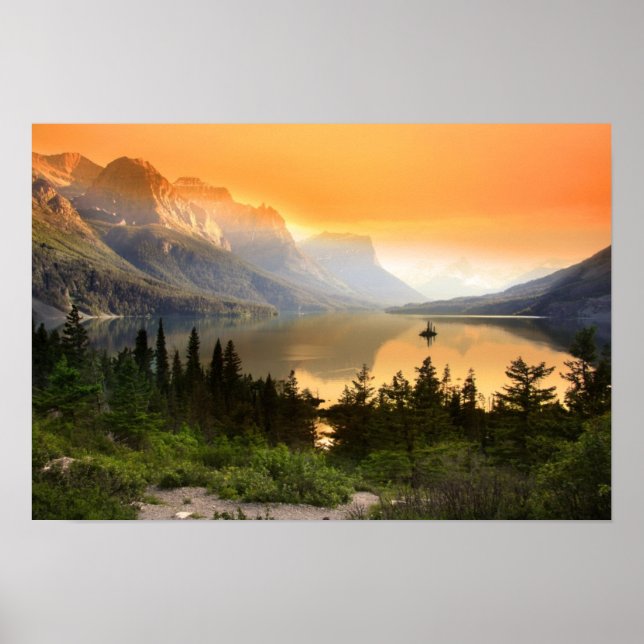 Vild Gosö i Glacier nationalpark Poster (Framsidan)