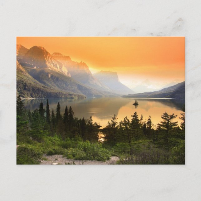 Vild Gosö i Glacier nationalpark Vykort (Framsida)