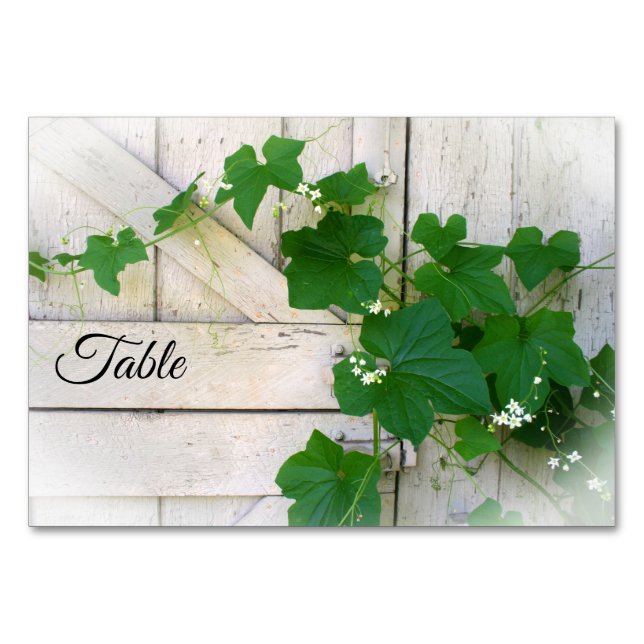 Vild Grapevine bord-kort Bordsnummer (Framsidan)