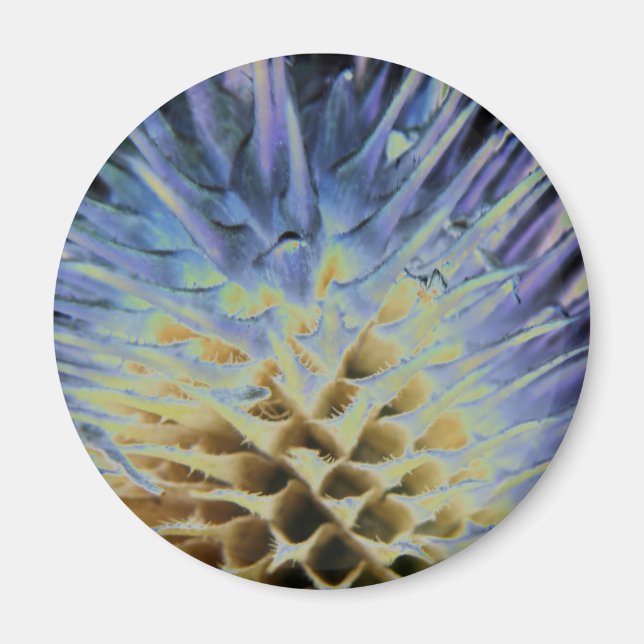 Vild Grass Explosion Magnet (Framsidan)