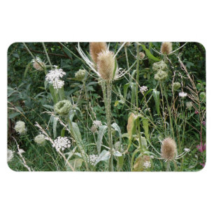 Vild Grass Premium Magnet