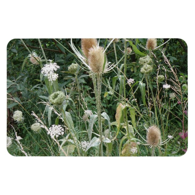 Vild Grass Premium Magnet (Horisontell)