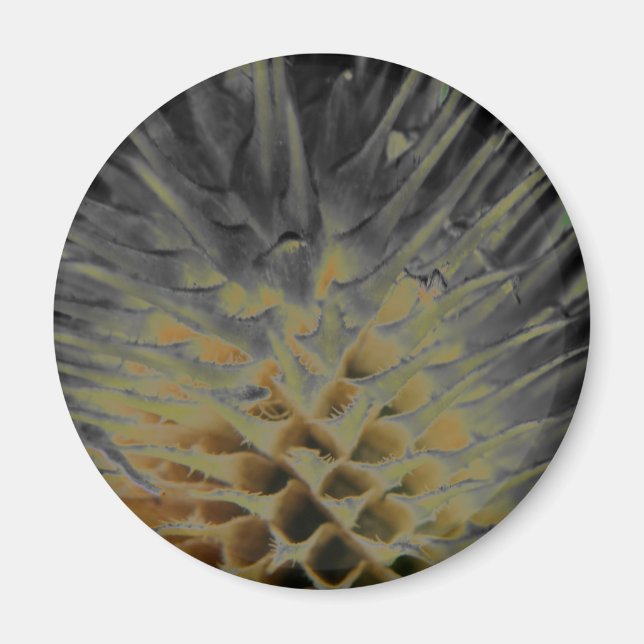 Vild Grass Supernova Magnet (Framsidan)