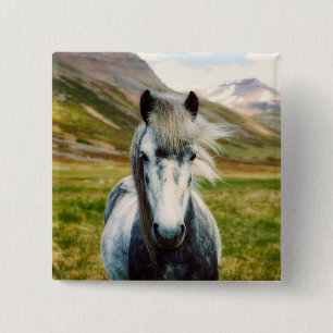 Vild Grått Horse i bergen Knapp