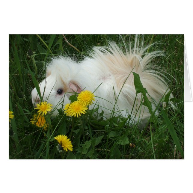 Vild Gris Hälsningskort (Framsidan Horizontal)