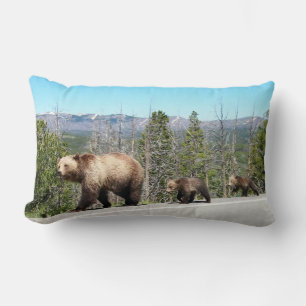 Vild Grizzly Bear Mamma and Unge in Yellowstone Lumbarkudde