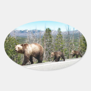 Vild Grizzly Bear Mamma och Unge i gulsten Ovalt Klistermärke