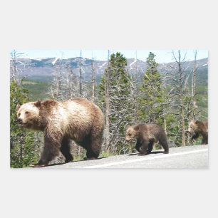 Vild Grizzly Bear Mamma och Unge i gulsten Rektangulärt Klistermärke
