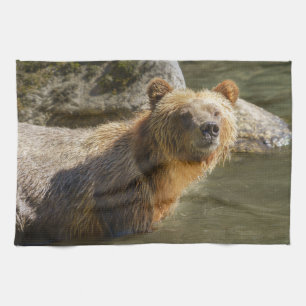 Vild Grizzly vid floden Orford Kökshandduk